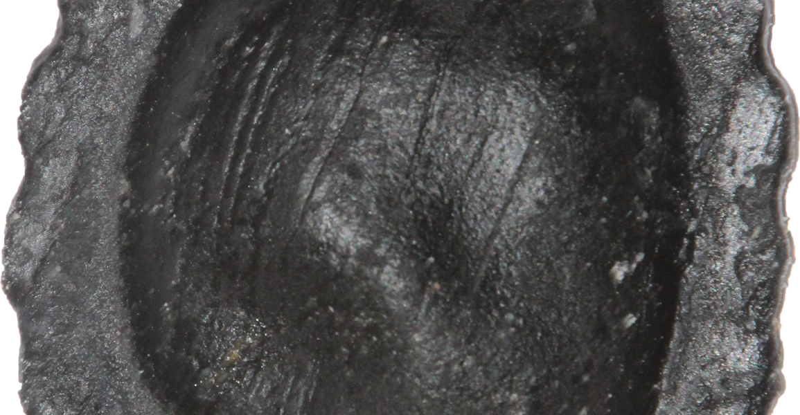 רביולי שחור (אבץ)